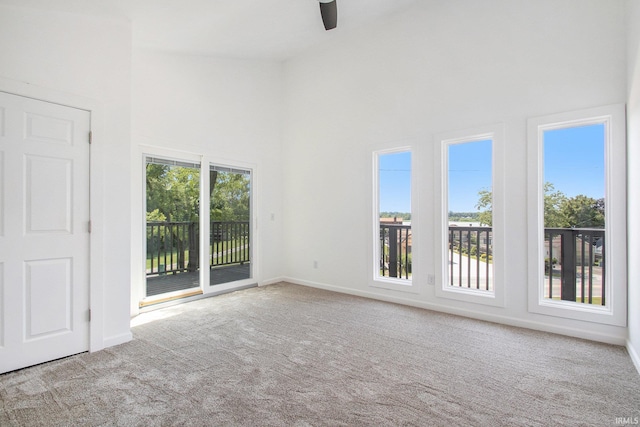 carpeted spare room with a towering ceiling