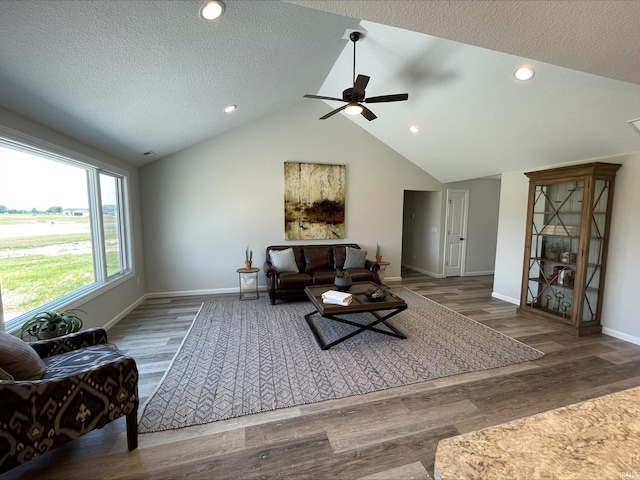 living room featuring vaulted ceiling, dark hardwood / wood-style floors, and a textured ceiling