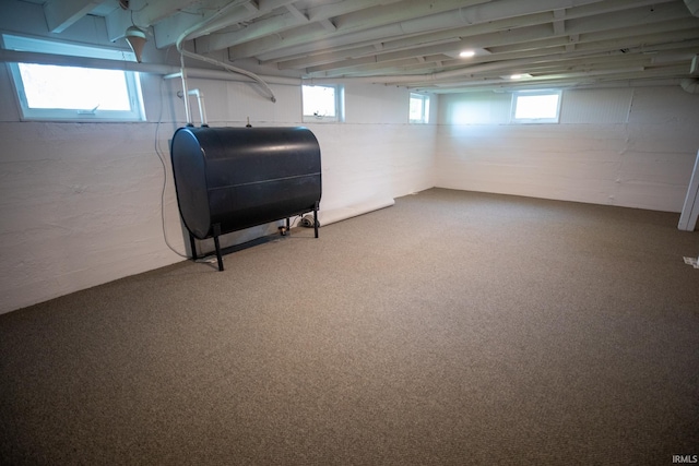 basement with carpet floors