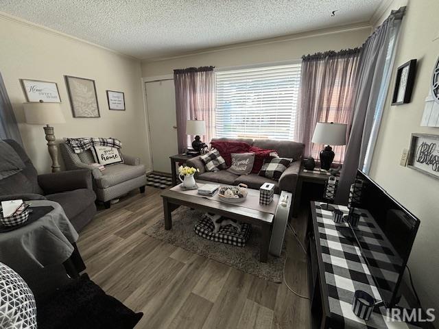 living room featuring hardwood / wood-style flooring and a textured ceiling