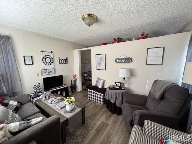 living room featuring hardwood / wood-style floors and a textured ceiling