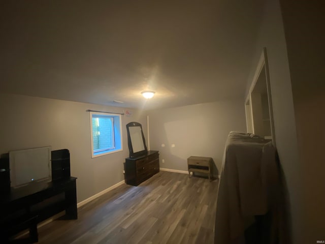 bedroom featuring hardwood / wood-style flooring