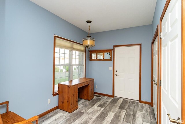 office featuring wood-type flooring