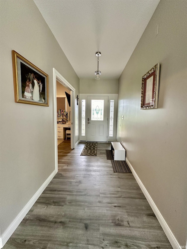 doorway featuring dark wood-type flooring