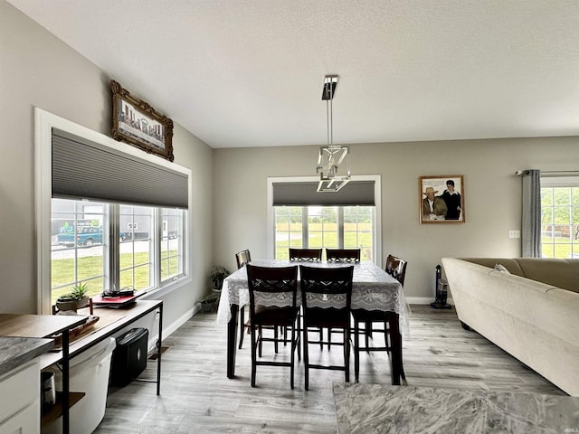 dining space featuring plenty of natural light, a textured ceiling, and light hardwood / wood-style flooring