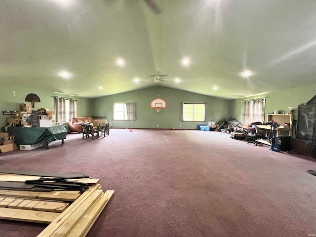 miscellaneous room featuring carpet flooring and lofted ceiling