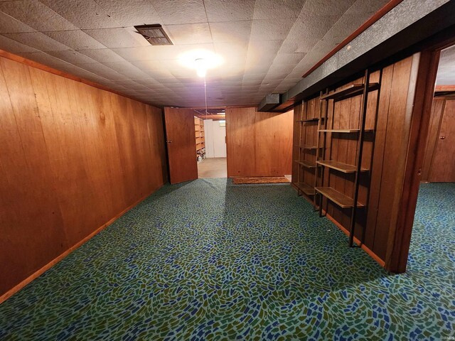 basement with wooden walls