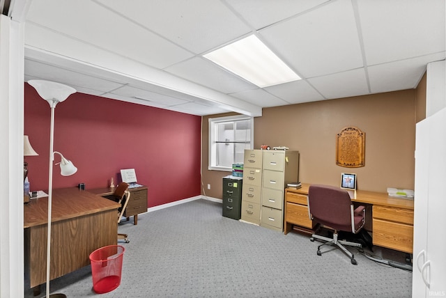 office featuring carpet floors and a paneled ceiling