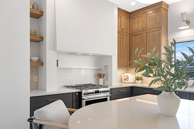 kitchen featuring tasteful backsplash and stainless steel stove