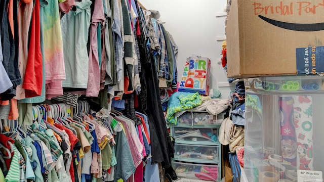 view of walk in closet