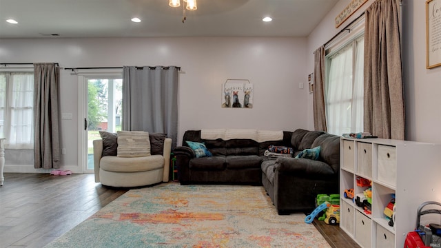 living room featuring hardwood / wood-style floors