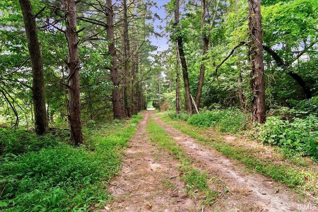 view of road