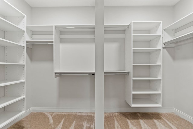 spacious closet with carpet floors