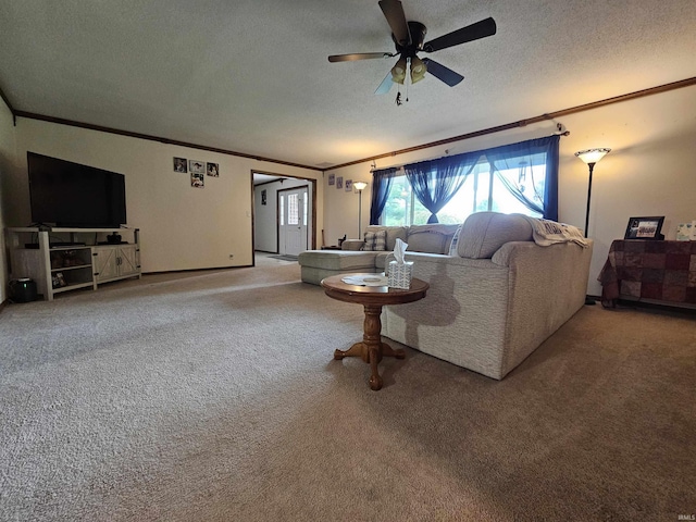 carpeted living room with ceiling fan, crown molding, and a textured ceiling