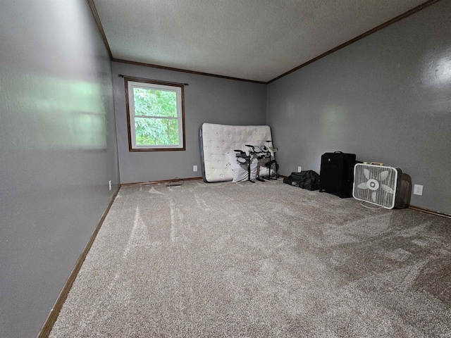 carpeted spare room with crown molding and a textured ceiling