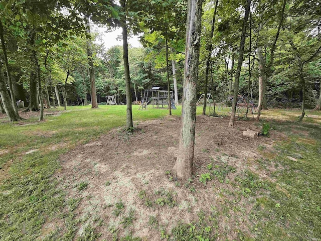 view of yard featuring a playground