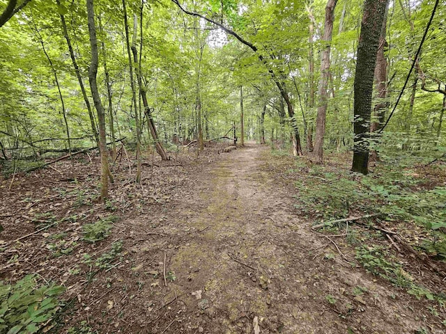 view of local wilderness