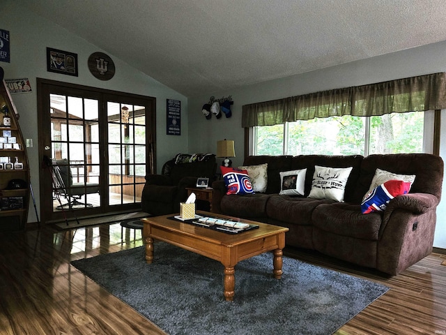 living room featuring lofted ceiling and hardwood / wood-style floors