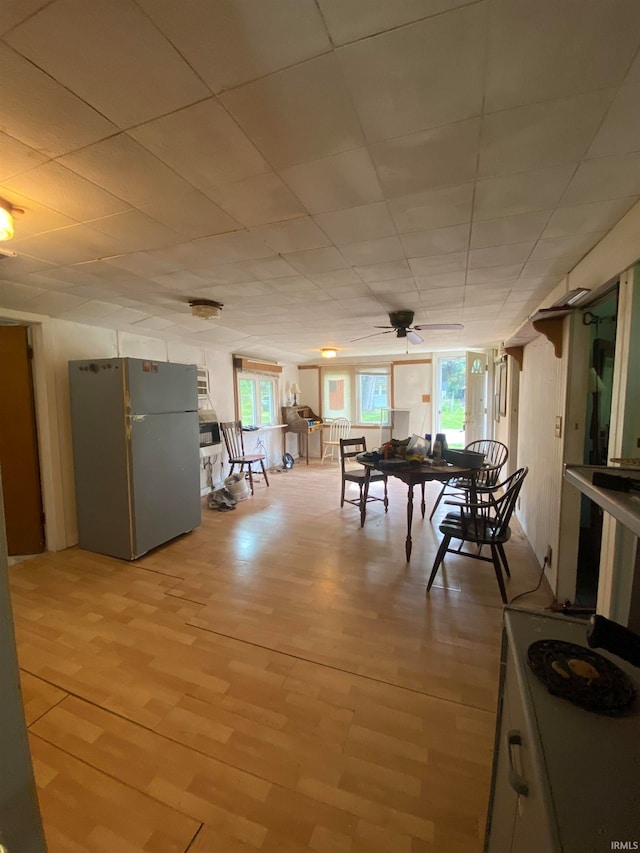 dining space with a paneled ceiling, a wealth of natural light, ceiling fan, and light wood-type flooring