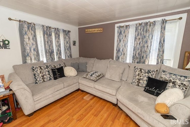 living room with light hardwood / wood-style flooring and ornamental molding