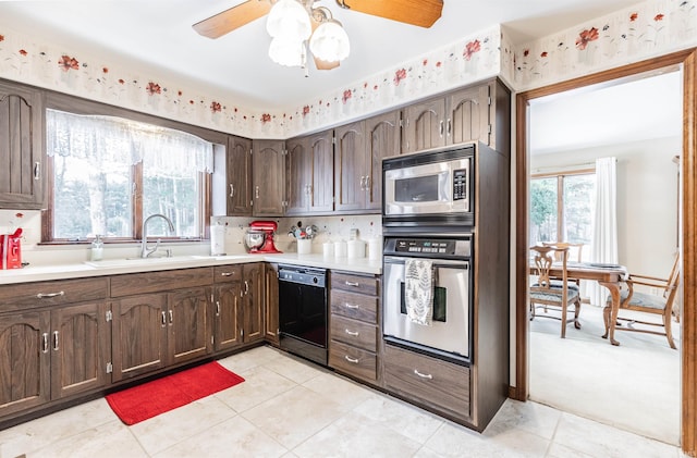 kitchen featuring ceiling fan, dark brown cabinetry, stainless steel appliances, and sink