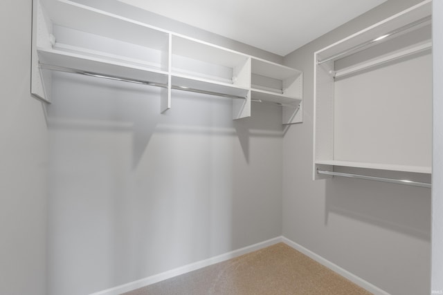 walk in closet with carpet