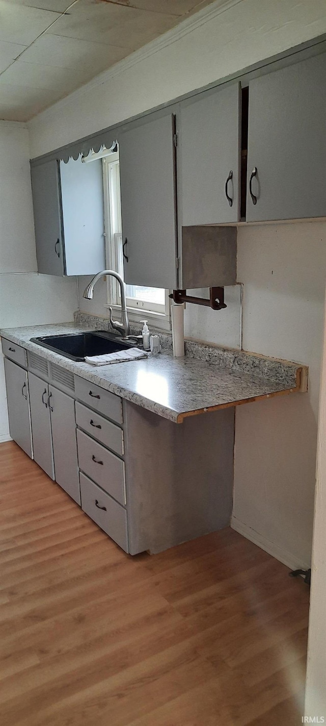 kitchen featuring light countertops, light wood-type flooring, a sink, and gray cabinetry