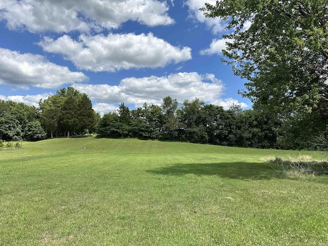 8826 State Rd 37, Bedford, IN 47421 - view of yard