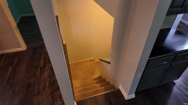 staircase with hardwood / wood-style flooring