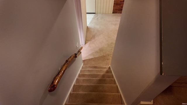 stairway featuring carpet flooring