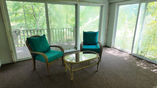 view of sunroom