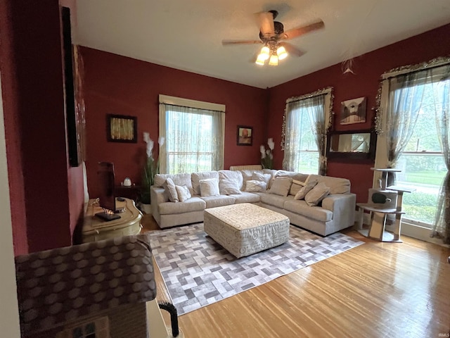 living room featuring light hardwood / wood-style flooring, a healthy amount of sunlight, and ceiling fan