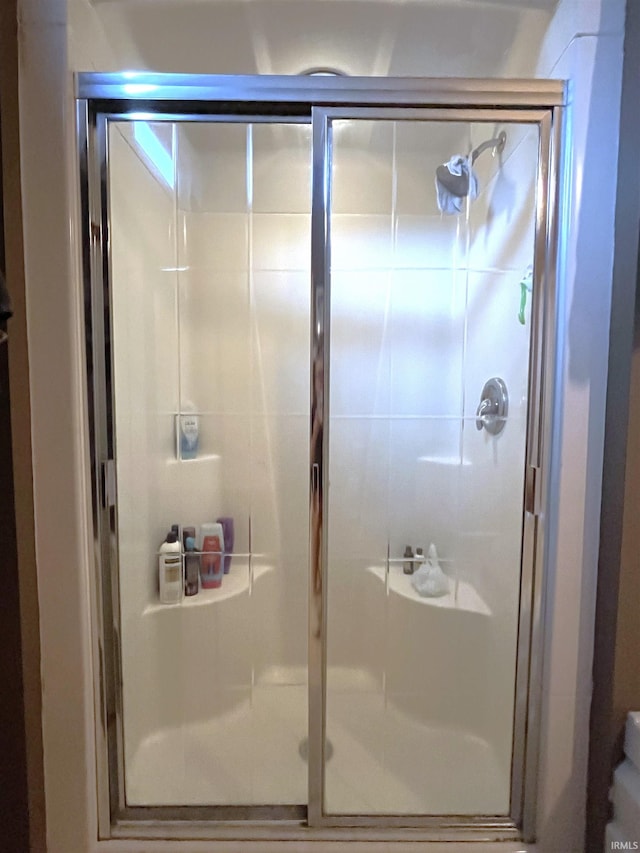 bathroom featuring a shower with shower door