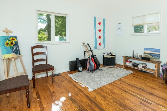 misc room featuring a wealth of natural light and wood-type flooring