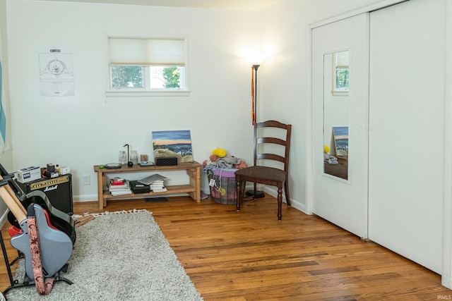 living area featuring wood-type flooring