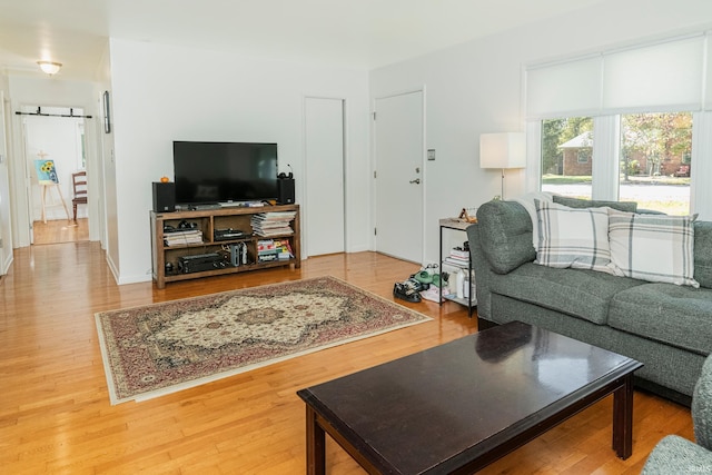 living room featuring a barn door and hardwood / wood-style floors