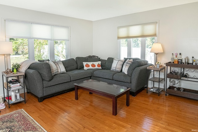 living room with light hardwood / wood-style flooring