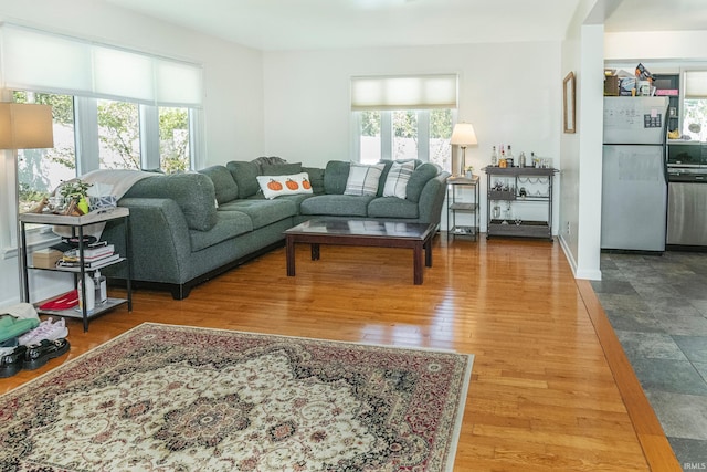 living room featuring hardwood / wood-style flooring