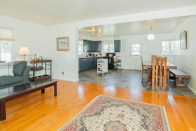 living room featuring hardwood / wood-style floors