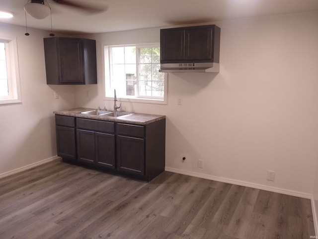 kitchen with dark brown cabinetry, hardwood / wood-style floors, sink, and ceiling fan