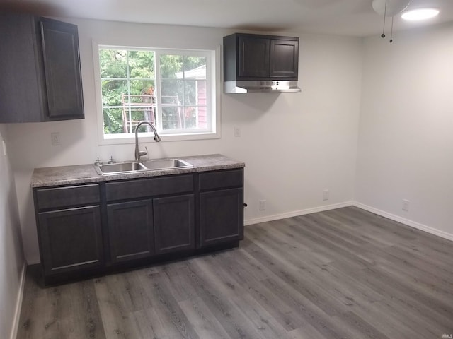 kitchen featuring sink, dark brown cabinets, and hardwood / wood-style floors