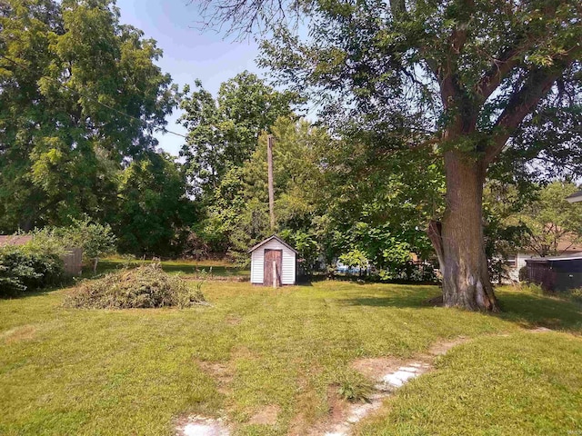 view of yard featuring a shed