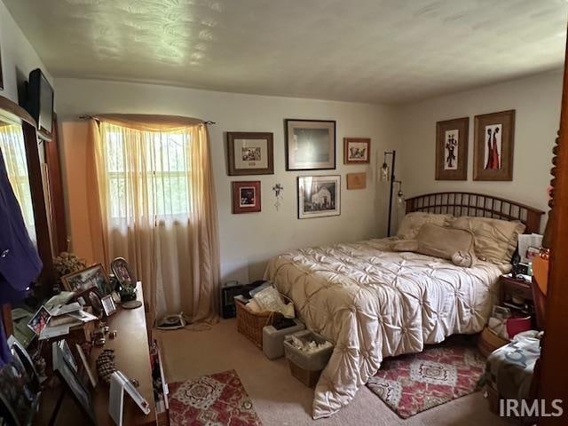 bedroom with carpet flooring