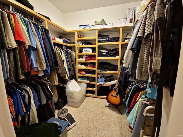 spacious closet with carpet