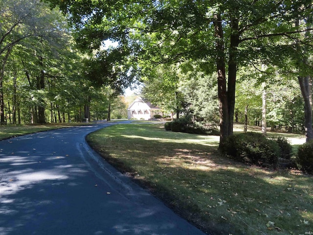 view of road with driveway