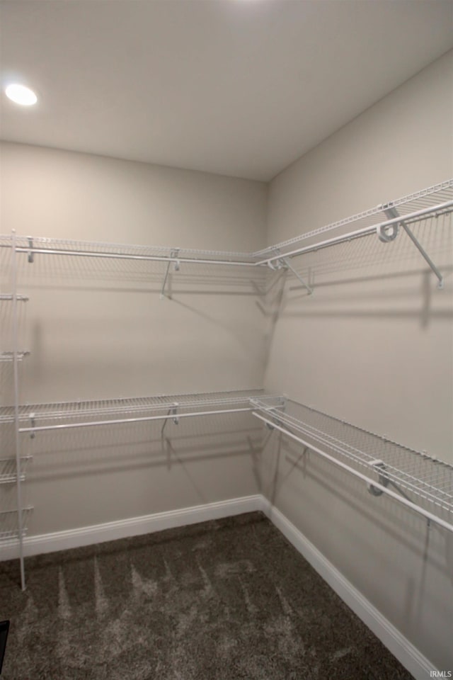 walk in closet with dark carpet