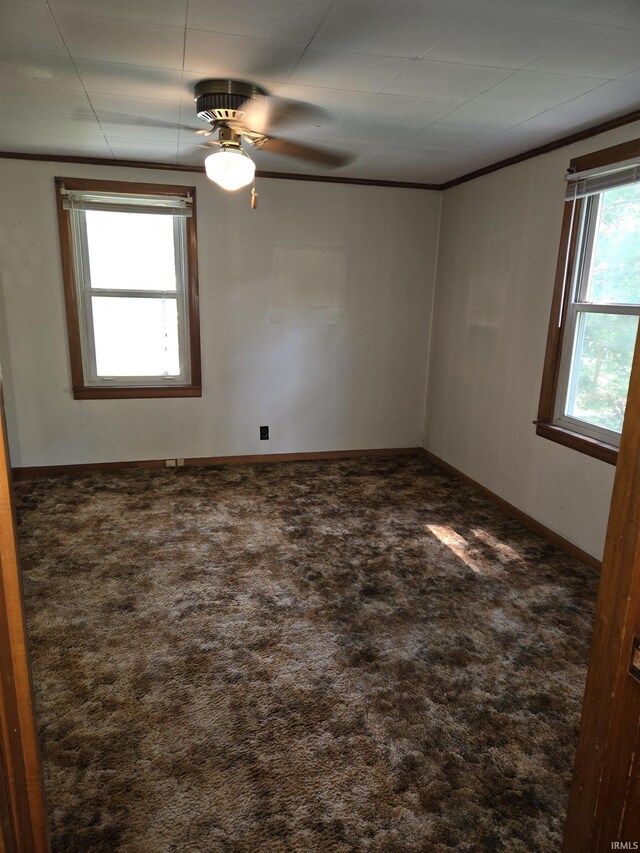 spare room featuring ceiling fan and carpet flooring