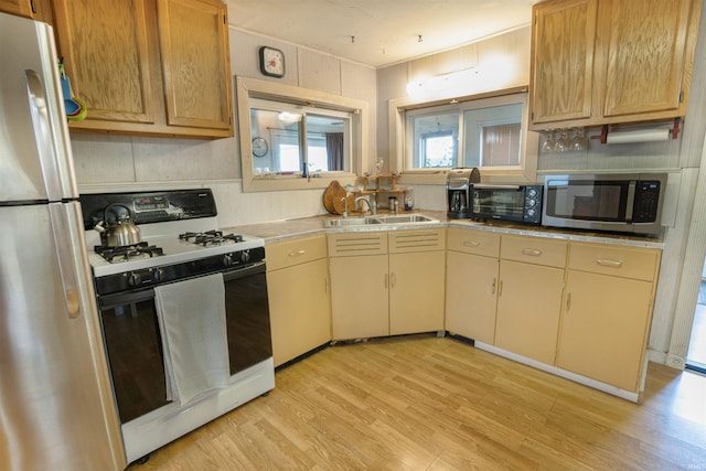 kitchen featuring stainless steel appliances, sink, and light hardwood / wood-style floors