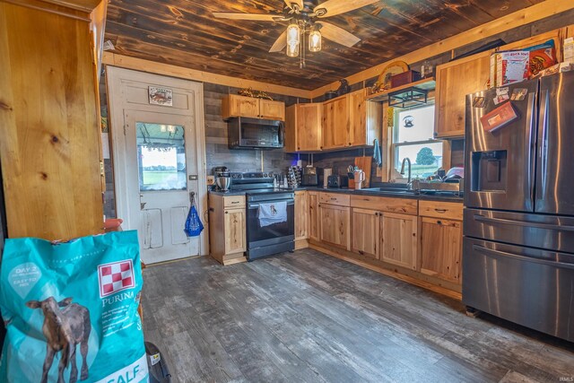 kitchen with ceiling fan, stainless steel appliances, a wealth of natural light, and dark wood-type flooring