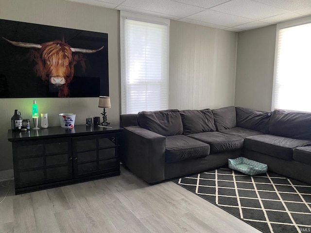 living room featuring hardwood / wood-style floors and a paneled ceiling